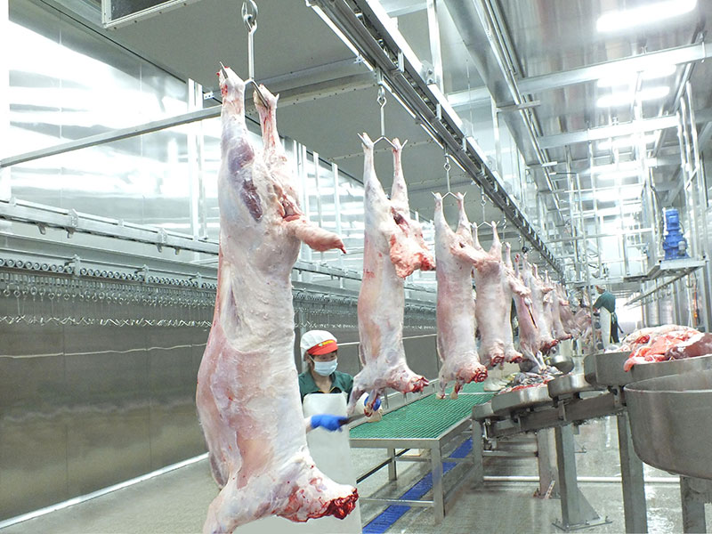 屠宰加工